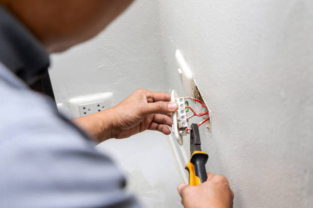 Best Electric Panel Repair  in Delhi, LA